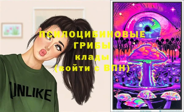 шишки Алексеевка