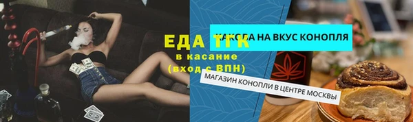 дмт Алзамай
