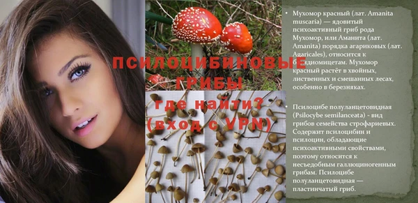 таблы Алексин
