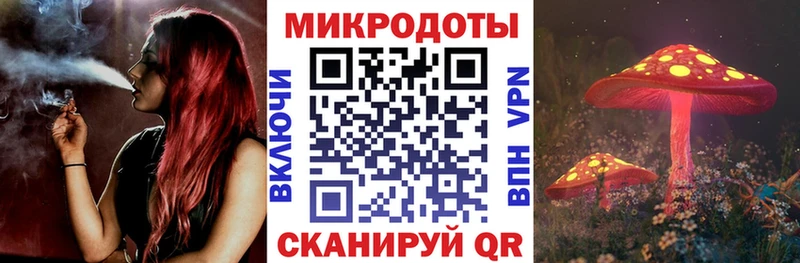 где купить наркотик  Ревда  KRAKEN ССЫЛКА  Галлюциногенные грибы Psilocybine cubensis 