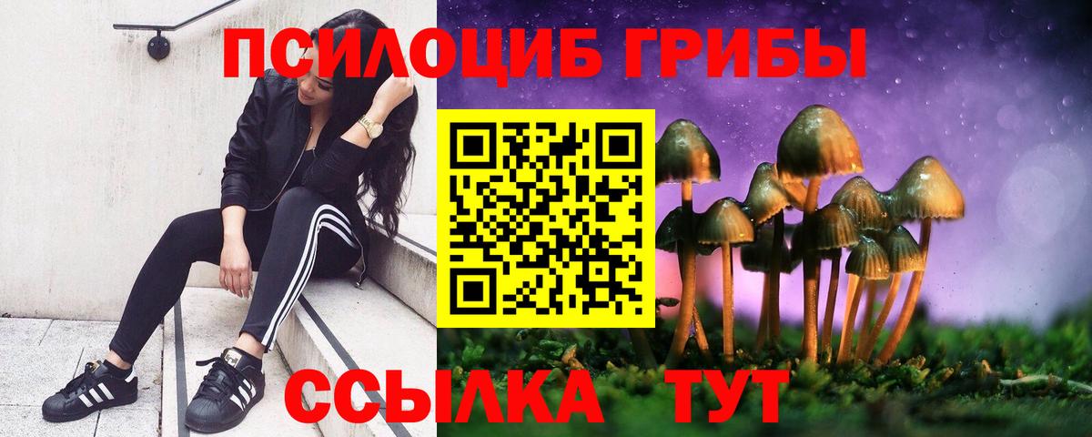 Галлюциногенные грибы прущие грибы  Вход с VPN  Галлюциногенные грибы Magic Shrooms  цены наркотик  Ревда 
